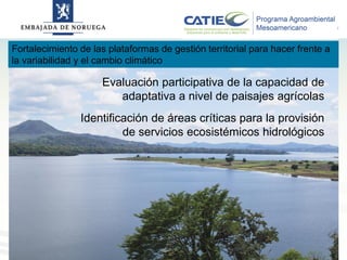 Alianza conjunta CCAFS-CATIE en el Trifinio