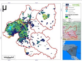 Alianza conjunta CCAFS-CATIE en el Trifinio