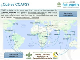 Alianza conjunta CCAFS-CATIE en el Trifinio