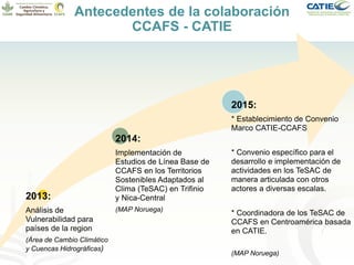 Alianza conjunta CCAFS-CATIE en el Trifinio