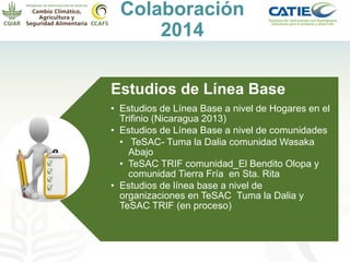 Alianza conjunta CCAFS-CATIE en el Trifinio