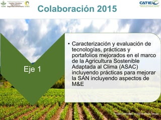 Alianza conjunta CCAFS-CATIE en el Trifinio