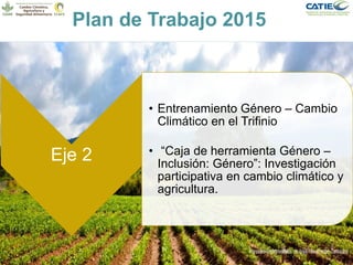 Alianza conjunta CCAFS-CATIE en el Trifinio