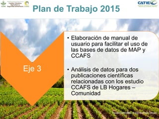 Alianza conjunta CCAFS-CATIE en el Trifinio