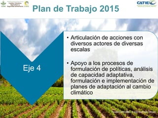 Alianza conjunta CCAFS-CATIE en el Trifinio