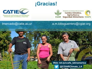 Alianza conjunta CCAFS-CATIE en el Trifinio