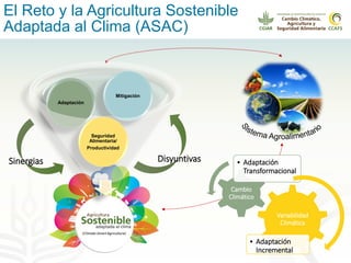 Alianza conjunta CCAFS-CATIE en el Trifinio