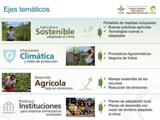 Alianza conjunta CCAFS-CATIE en el Trifinio