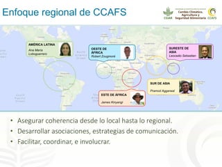 Alianza conjunta CCAFS-CATIE en el Trifinio