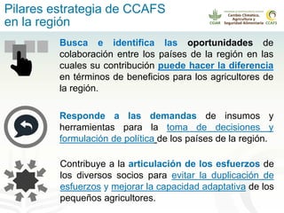 Alianza conjunta CCAFS-CATIE en el Trifinio