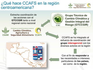 Alianza conjunta CCAFS-CATIE en el Trifinio