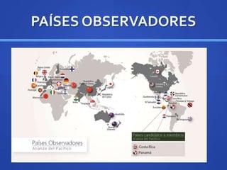 PAÍSES OBSERVADORES
 
