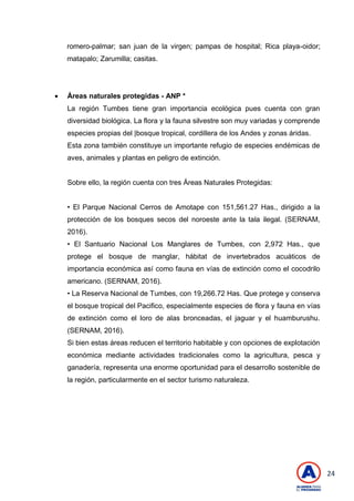 24
romero-palmar; san juan de la virgen; pampas de hospital; Rica playa-oidor;
matapalo; Zarumilla; casitas.
 Áreas naturales protegidas - ANP *
La región Tumbes tiene gran importancia ecológica pues cuenta con gran
diversidad biológica. La flora y la fauna silvestre son muy variadas y comprende
especies propias del |bosque tropical, cordillera de los Andes y zonas áridas.
Esta zona también constituye un importante refugio de especies endémicas de
aves, animales y plantas en peligro de extinción.
Sobre ello, la región cuenta con tres Áreas Naturales Protegidas:
• El Parque Nacional Cerros de Amotape con 151,561.27 Has., dirigido a la
protección de los bosques secos del noroeste ante la tala ilegal. (SERNAM,
2016).
• El Santuario Nacional Los Manglares de Tumbes, con 2,972 Has., que
protege el bosque de manglar, hábitat de invertebrados acuáticos de
importancia económica así como fauna en vías de extinción como el cocodrilo
americano. (SERNAM, 2016).
• La Reserva Nacional de Tumbes, con 19,266.72 Has. Que protege y conserva
el bosque tropical del Pacifico, especialmente especies de flora y fauna en vías
de extinción como el loro de alas bronceadas, el jaguar y el huamburushu.
(SERNAM, 2016).
Si bien estas áreas reducen el territorio habitable y con opciones de explotación
económica mediante actividades tradicionales como la agricultura, pesca y
ganadería, representa una enorme oportunidad para el desarrollo sostenible de
la región, particularmente en el sector turismo naturaleza.
 