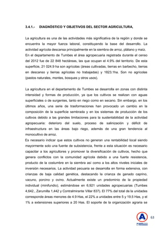 63
3.4.1.- DIAGNÓSTICO Y OBJETIVOS DEL SECTOR AGRICULTURA,
La agricultura es una de las actividades más significativa de la región y donde se
encuentra la mayor fuerza laboral, constituyendo la base del desarrollo. La
actividad agrícola descansa principalmente en la siembra de arroz, plátano y maíz.
En el departamento de Tumbes el área agropecuaria registrada durante el censo
del 2012 fue de 22 848 hectáreas, las que ocupan el 4.9% del territorio. De esta
superficie, 21 024.9 ha son agrícolas (áreas cultivadas, tierras en barbecho, tierras
en descanso y tierras agrícolas no trabajadas) y 1823.1ha. Son no agrícolas
(pastos naturales, montes, bosques y otros usos).
La agricultura en el departamento de Tumbes se desarrolla en zonas con distinta
intensidad y formas de producción, ya que los cultivos se realizan con aguas
superficiales o de surgentes, tanto en riego como en secano. Sin embargo, en los
últimos años, una serie de trasformaciones han provocado un cambio en la
composición de la superficie sembrada y en los sistemas de producción de los
cultivos debido a las grandes limitaciones para la sustentabilidad de la actividad
agropecuaria: deterioro del suelo, proceso de salinización y déficit de
infraestructura en las áreas bajo riego, además de una gran tendencia al
monocultivo de arroz.
Es necesario indicar que estos cultivos no generan una rentabilidad local siendo
mayormente solo una fuente de subsistencia, frente a esta situación es necesario
capacitar a los agricultores y promover la diversificación de cultivos, hecho que
genera conflictos con la comunidad agrícola debido a una fuerte resistencia,
producto de la costumbre en la siembra así como a los altos niveles iniciales de
inversión necesarios. La actividad pecuaria se desarrolla en forma extensiva, con
crianzas de baja calidad genética, destacando la crianza de ganado caprino,
vacuno, porcino y ovino. Actualmente existe un predominio de la propiedad
individual (minifundio), estimándose en 6,921 unidades agropecuarias (Tumbes
4,642., Zarumilla 1,442 y Contralmirante Villar 837). El 77% del total de la unidades
corresponde áreas menores de 4.9 Has, el 22% a unidades entre 5 y 19.5 Has, y el
1% a extensiones superiores a 20 Has. El soporte de la organización agraria se
 