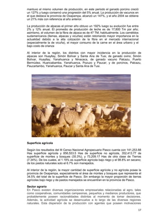 17
mantuvo el mismo volumen de producción, en este periodo el ganado porcino creció
un 127% y luego conservó una progresión del 5% anual. La producción de vacunos en
el que destaca la provincia de Oxapampa, alcanzó un 147%, y el año 2004 se obtiene
un 21% más con referencia al año anterior.
La producción de alpacas el primer año obtuvo un 192% luego su evolución fue entre
2% y 12% anual. El promedio de producción de leche es de 17,800 Tm por año;
asimismo, el volumen de la fibra de alpaca es de 47 TM, habitualmente. Los camélidos
sudamericanos (llamas, alpacas y vicuñas) están retomando mayor importancia en la
actualidad debido a la alta cotización de la fibra en el mercado internacional
(especialmente la de vicuña), el mayor consumo de la carne en el área urbano y el
bajo costo de crianza
Al interior de la región, los distritos con mayor incidencia en la producción de
alpacas son Huayllay, Simón Bolívar y Santa Ana de Tusi, de ganado ovino, Simón
Bolívar, Huayllay, Yanahuanca y Ninacaca, de ganado vacuno Palcazu, Puerto
Bermúdez, Huancabamba, Yanahuanca, Pozuzo y Paucar; y de porcinos, Palcazu,
Paucartambo, Yanahuanca, Paucar y Santa Ana de Tusi.
Superficie agrícola
Según los resultados del III Censo Nacional Agropecuario Pasco cuenta con 141,253.88
Has superficie agrícola y 856,553.5 Has de superficie no agrícola, 352,413.77 de
superficie de montes y bosques (35.3%), y 73,209.17 Has de otra clase de Tierras
(7.34%). De los cuales, el 1.18% es superficie agrícola bajo riego y el 98.8% en secano;
de los pastos naturales solo el 6.7% son manejados.
Al interior de la región, la mayor cantidad de superficie agrícola y no agrícola posee la
provincia de Oxapampa, especialmente el área de montes y bosques que representa el
34.5% del total de la superficie de Pasco. Sin embargo la mayor proporción de tierras
agrícolas bajo riego y de pastos manejados se encuentran en la provincia de Pasco.
Sector agrario
En Pasco existen diversas organizaciones empresariales relacionadas al agro, tales
como cooperativas, comunidades campesinas, pequeños y medianos productores, que
probablemente poseen racionalidades distintas al momento de tomar decisiones.
Además, la actividad agrícola se desenvuelve a lo largo de las diversas regiones
naturales. Esta dispersión de la producción con agentes que poseen motivaciones
 