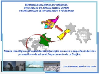 AUTOR: HOBBER J. BERRÍO CABALLERPO
REPÚBLICA BOLIVARIANA DE VENEZUELA
UNIVERSIDAD DR. RAFAEL BELLESO CHACÍN
VICERRECTORADO DE INVESTIGACIÓN Y POSTGRADO
Alianza tecnológica como plataforma estratégica en micro y pequeñas industrias
procesadoras de sal en el Departamento de La Guajira.
 