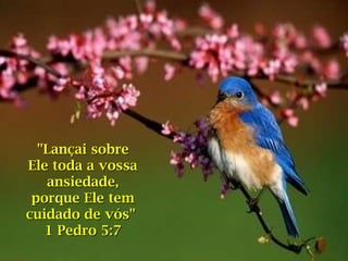 "Lançai sobre Ele toda a vossa ansiedade, porque Ele tem cuidado de vós"  1 Pedro 5:7 