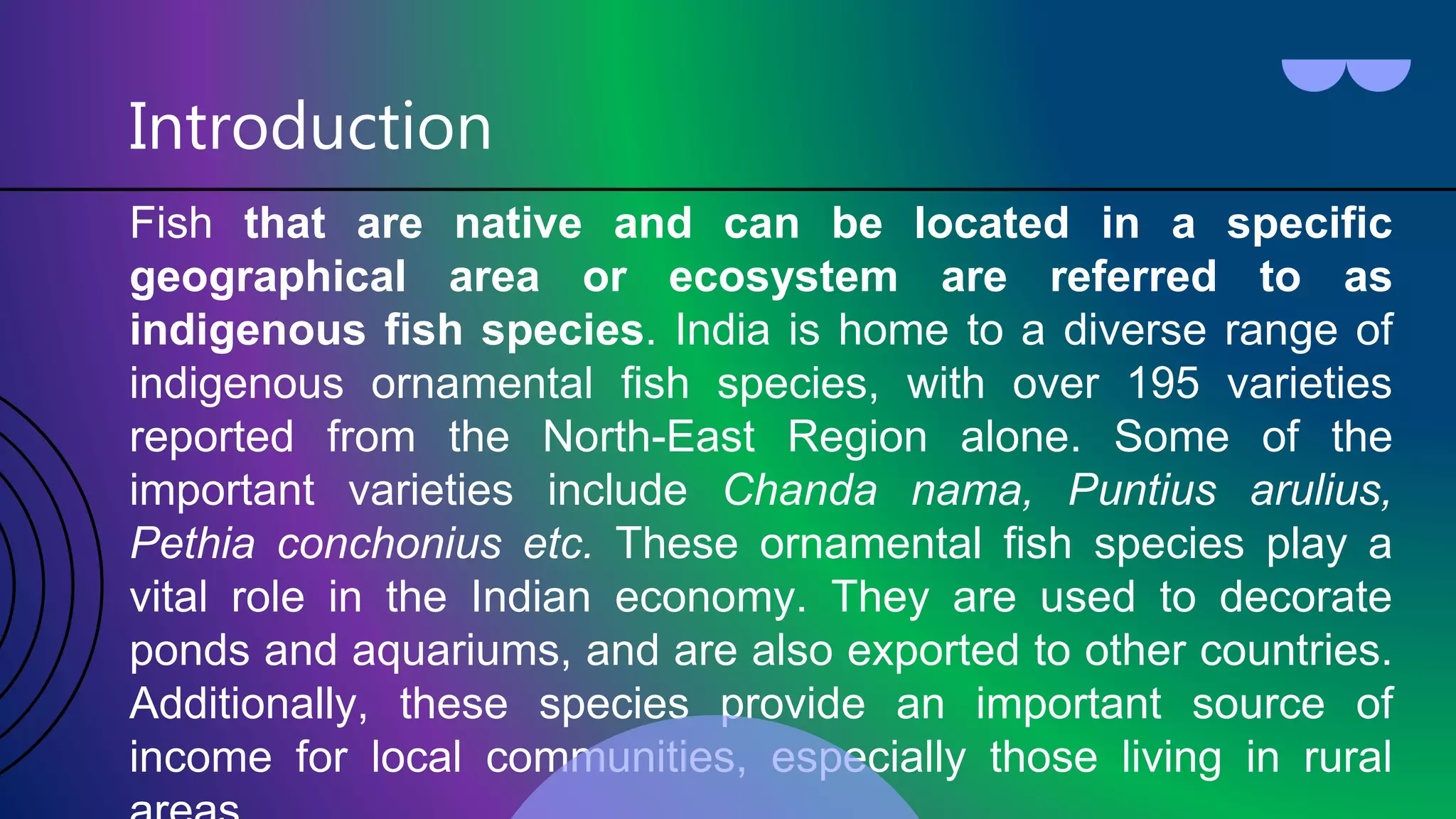 10 different types of indigenous ornamental fishes of India | PPT