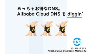 めっちゃお得なDNS。
Alibaba Cloud DNS を diggin’
2018年3月20日
Alibaba Cloud Developers Meetup #2
 
