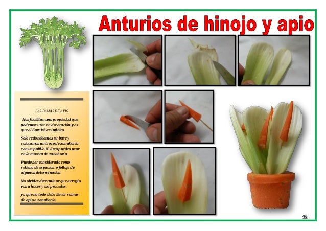 ABC Libro de Garnish o Arte Mukimono 2014