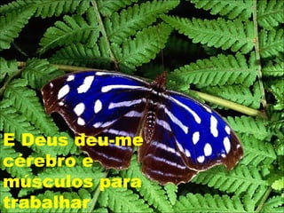 E Deus deu-me cérebro e músculos para trabalhar 