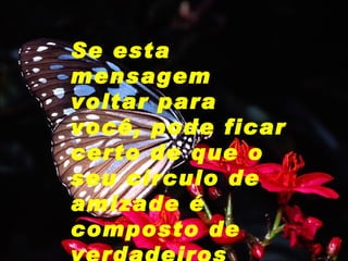 Se esta mensagem voltar para você, pode ficar certo de que o seu círculo de amizade é composto de verdadeiros amigos 