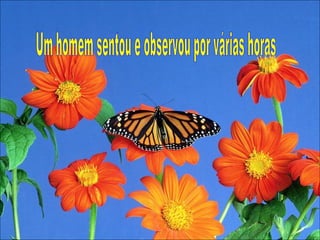 Um homem sentou e observou por várias horas 