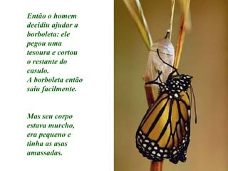 Então o homem
decidiu ajudar a
borboleta: ele
pegou uma
tesoura e cortou
o restante do
casulo.
A borboleta então
saiu facilmente.


Mas seu corpo
estava murcho,
era pequeno e
tinha as asas
amassadas.
 