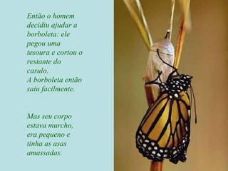 Então o homem
decidiu ajudar a
borboleta: ele
pegou uma
tesoura e cortou o
restante do
casulo.
A borboleta então
saiu facilmente.
Mas seu corpo
estava murcho,
era pequeno e
tinha as asas
amassadas.
 