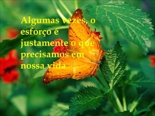 Algumas vezes, o esforço é justamente o que precisamos em nossa vida 