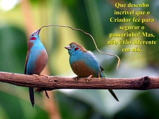 Que desenho incrível que o Criador fez para segurar o passarinho! Mas, não é tão diferente em nós. 