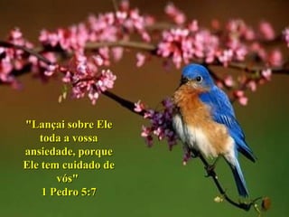 "Lançai sobre Ele toda a vossa ansiedade, porque Ele tem cuidado de vós"  1 Pedro 5:7 