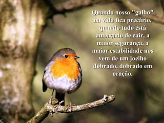 Quando nosso "galho" na vida fica precário, quando tudo está ameaçado de cair, a maior segurança, a maior estabilidade nos vem de um joelho dobrado, dobrado em oração. 