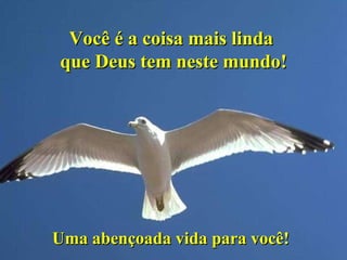 Uma abençoada vida para você! Você é a coisa mais linda  que Deus tem neste mundo! 