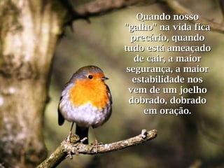 Quando nossoQuando nosso
"galho" na vida fica"galho" na vida fica
precário, quandoprecário, quando
tudo está ameaçadotudo está ameaçado
de cair, a maiorde cair, a maior
segurança, a maiorsegurança, a maior
estabilidade nosestabilidade nos
vem de um joelhovem de um joelho
dobrado, dobradodobrado, dobrado
em oração.em oração.
 