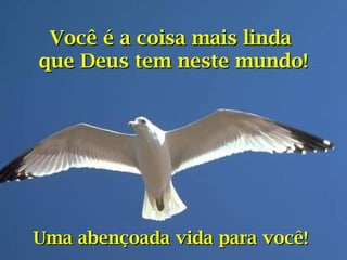 Uma abençoada vida para você!Uma abençoada vida para você!
Você é a coisa mais lindaVocê é a coisa mais linda
que Deus tem neste mundo!que Deus tem neste mundo!
 