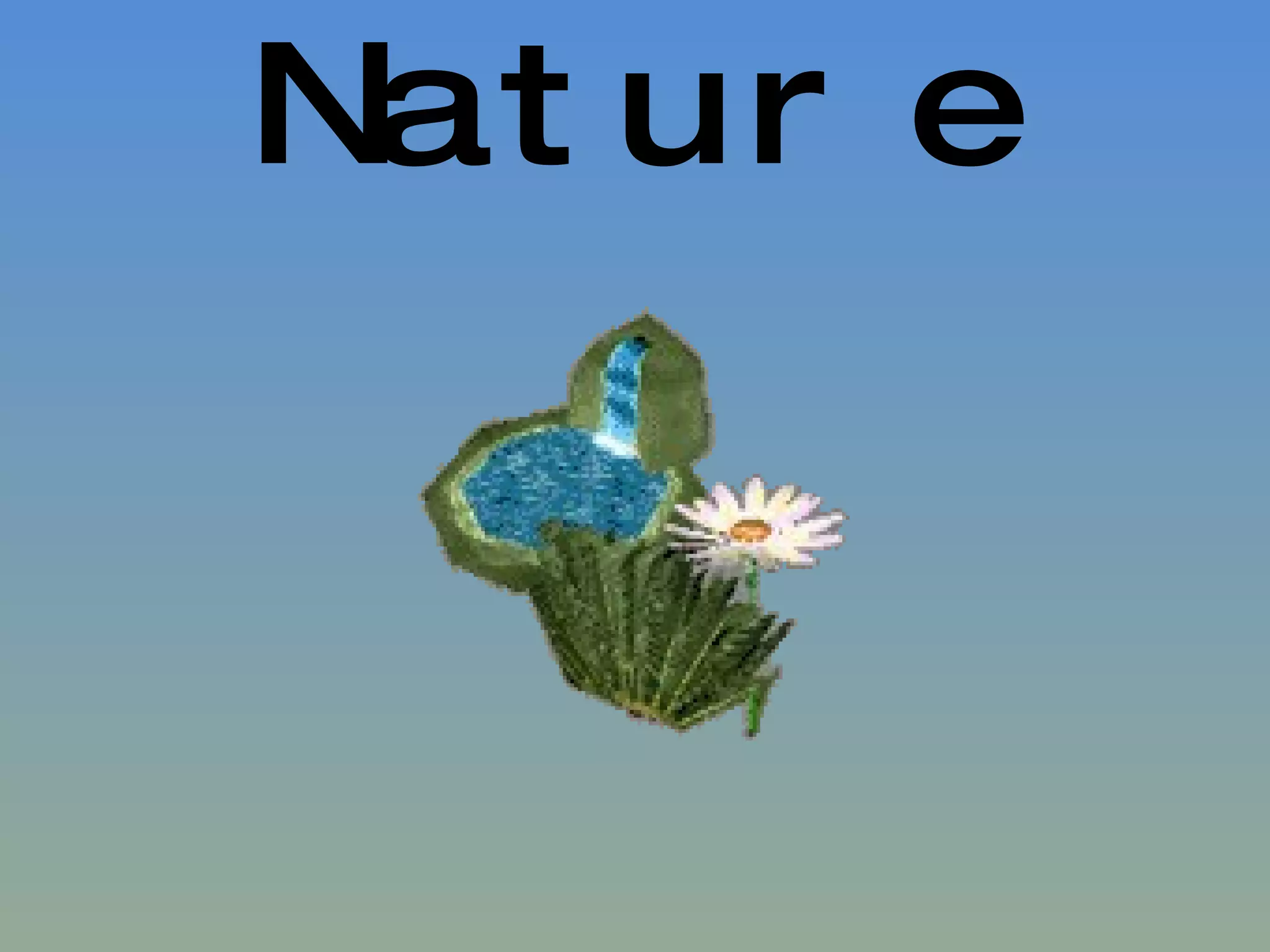 Nature