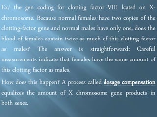 THE PUZZLE OF X CHROMOSOME 