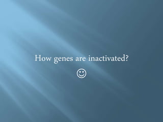 THE PUZZLE OF X CHROMOSOME 
