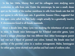 THE PUZZLE OF X CHROMOSOME 