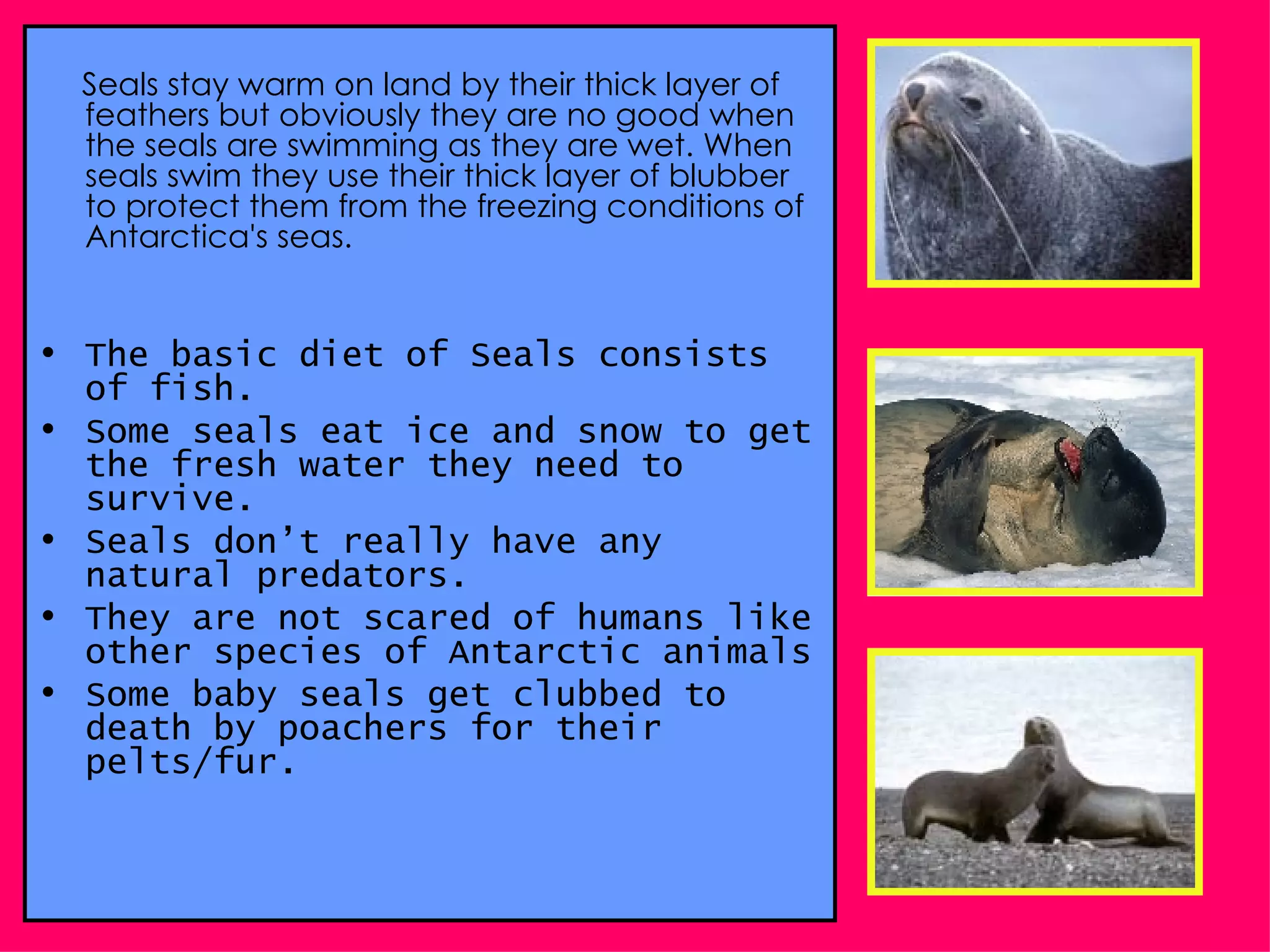 Alice And Isabel Buckley | PPT