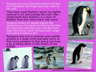 Alice And Isabel Buckley | PPT