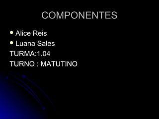 COMPONENTESCOMPONENTES
 Alice ReisAlice Reis
 Luana SalesLuana Sales
TURMA:1.04TURMA:1.04
TURNO : MATUTINOTURNO : MATUTINO
 