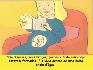 Com 3 meses, seus braços, pernas e todo seu corpo estavam formados. Ela vivia dentro de uma bolsa cheia d’água. 