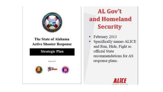 ALICE 300 presentation.pptx