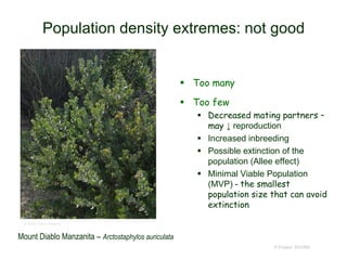 Population density extremes: not good
 Too many
 Too few
 Decreased mating partners –
may ↓ reproduction
 Increased inbreeding
 Possible extinction of the
population (Allee effect)
 Minimal Viable Population
(MVP) - the smallest
population size that can avoid
extinction
© Project SOUND
© 2006 Steve Matson
Mount Diablo Manzanita – Arctostaphylos auriculata
 