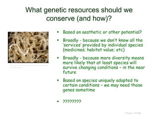 © Project SOUND
What genetic resources should we
conserve (and how)?
 Based on aesthetic or other potential?
 Broadly - because we don’t know all the
‘services’ provided by individual species
(medicines; habitat value; etc)
 Broadly - because more diversity means
more likely that at least species will
survive changing conditions – in the near
future
 Based on species uniquely adapted to
certain conditions – we may need those
genes sometime
 ????????
http://www.hazmac.biz/090218/090218Cercocarp
usTraskiae.html
 