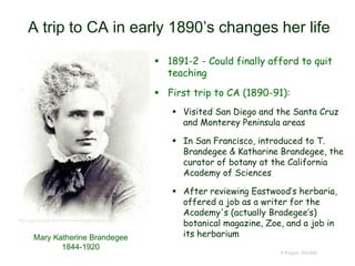 A trip to CA in early 1890’s changes her life
 1891-2 - Could finally afford to quit
teaching
 First trip to CA (1890-91):
 Visited San Diego and the Santa Cruz
and Monterey Peninsula areas
 In San Francisco, introduced to T.
Brandegee & Katharine Brandegee, the
curator of botany at the California
Academy of Sciences
 After reviewing Eastwood’s herbaria,
offered a job as a writer for the
Academy's (actually Bradegee’s)
botanical magazine, Zoe, and a job in
its herbarium
© Project SOUND
http://gpi.myspecies.info/content/brandegee-mk-0
Mary Katherine Brandegee
1844-1920
 