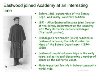 Eastwood joined Academy at an interesting
time
 Before 1883, curatorship of the Botany
Dept. was yearly, voluntary position
 1891 - Alice Eastwood became joint Curator
of the Botany Department at the Academy,
with Mary Katharine Curran/Brandegee
(first paid curator).
 Brandegee’s retirement (1894) resulted in
Eastwood becoming the sole Curator and
Head of the Botany Department (1894-
1950)
 Eastwood completed many trips in the early
years, collecting and discovering a number of
plants on the California coast.
 Made important friends in botany community
world-wide © Project SOUND
One Hundred and Fifty Years of Botany at the
California Academy of Sciences (1853–2003)
 