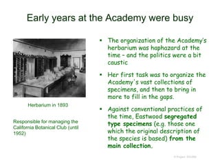 Early years at the Academy were busy
 The organization of the Academy’s
herbarium was haphazard at the
time – and the politics were a bit
caustic
 Her first task was to organize the
Academy's vast collections of
specimens, and then to bring in
more to fill in the gaps.
 Against conventional practices of
the time, Eastwood segregated
type specimens (e.g. those one
which the original description of
the species is based) from the
main collection.
© Project SOUND
Responsible for managing the
California Botanical Club (until
1952)
Herbarium in 1893
 